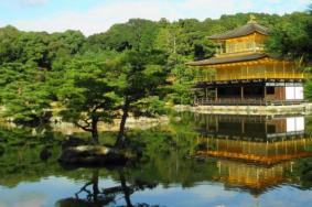 日本京都赏红叶时间