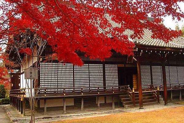 日本京都赏红叶时间