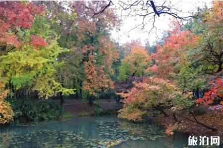 天平山哪里枫叶最美 天平山枫叶攻略