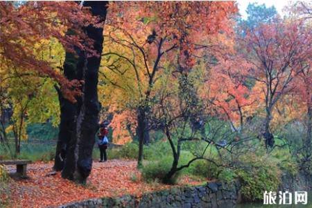 天平山哪里枫叶最美 天平山枫叶攻略