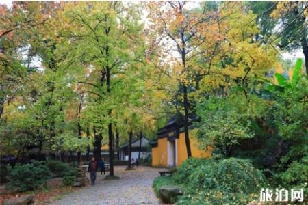 天平山哪里枫叶最美 天平山枫叶攻略