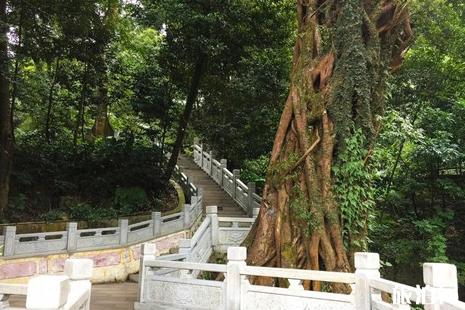 南華寺夫妻不能同去嗎 南華寺在哪里+門票+介紹