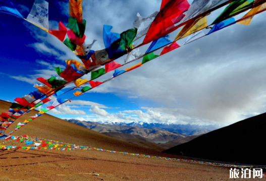 为什么感冒不能去西藏 西藏高原反应怎么办