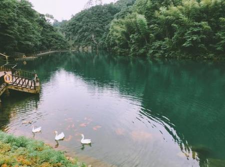 黄山旅游攻略最新版