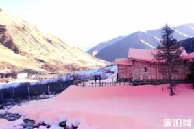 鹧鸪山自然公园粉色雪门票+在哪里+滑雪攻略 鹧鸪山冰雪世界攻略