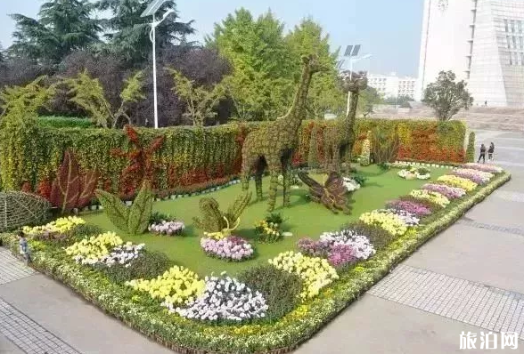 2018上海菊花展在哪里 上海菊花展有几个