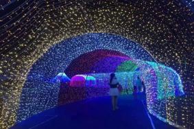 2018武汉璀璨灯海美食狂欢节时间+地点 武汉灯光美食节在哪