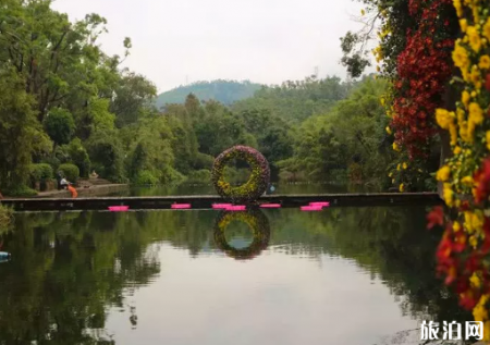 2018深圳东湖公园菊花展时间+地点+打卡点+停车场