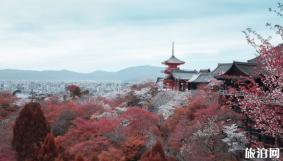 日本旅游最值得去