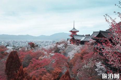 日本旅游最值得去的地方是哪里