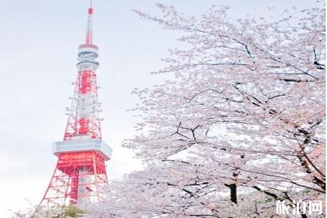 2019日本出境税征收对象+免收对象 2019日本樱花开放时间