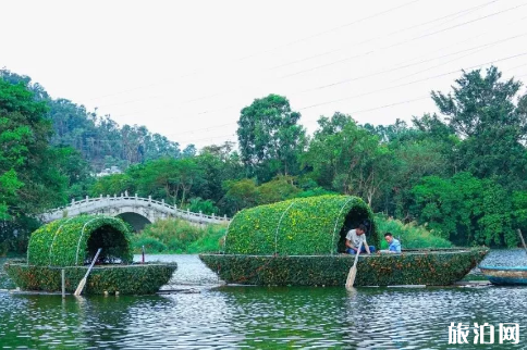 2018深圳东湖公园菊花展时间+地点+打卡点+停车场