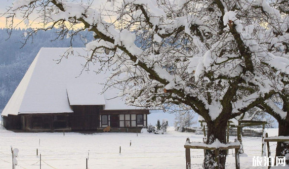 2019年1月份哪個(gè)地方會(huì)下雪 元旦會(huì)下雪嗎