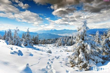 黑龍江雪鄉旅游攻略 教你怎么不被宰