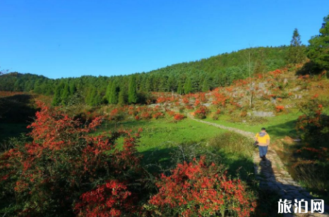 2019重庆淡季景点+门票价格 重庆哪些景点降价了