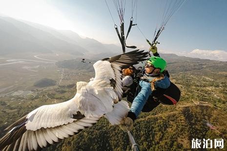 滑翔伞哪里可以玩 滑翔伞景色哪里最美