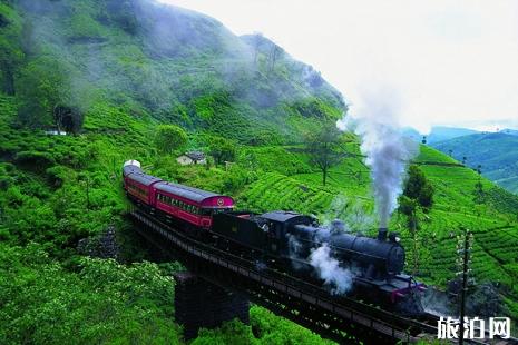 怎么報團旅游比較劃算不會踩雷坑