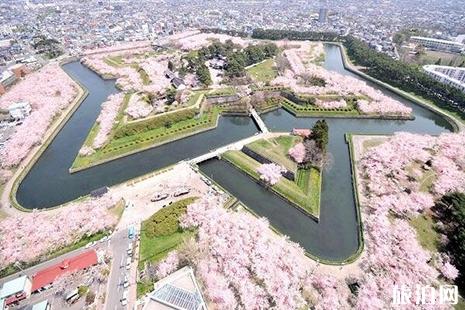 2019日本樱花季是什么时候 哪里赏樱花好
