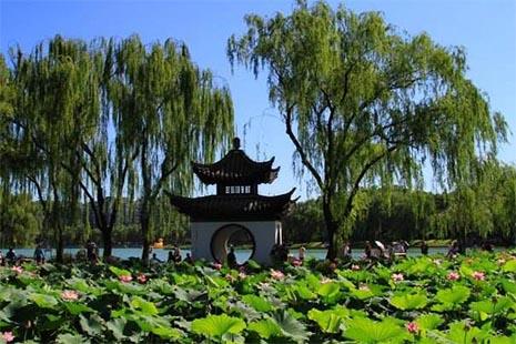 北京市2019年公园游览年票办理指南 附办理点