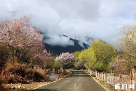 2019林芝旅游攻略