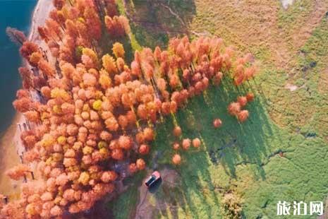 四明山盘山公路路线旅游攻略
