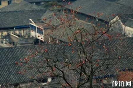 四明山盘山公路路线旅游攻略