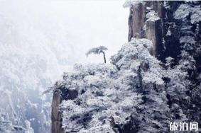 黄山下雪了吗 黄山冬天好玩吗