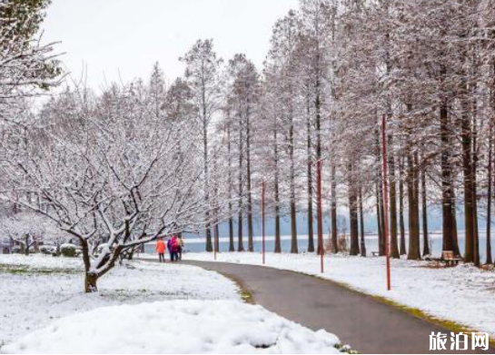 2018年12月武汉大雪取消航班+晚点列车+结冰路段 武汉天河机场什么时候开放