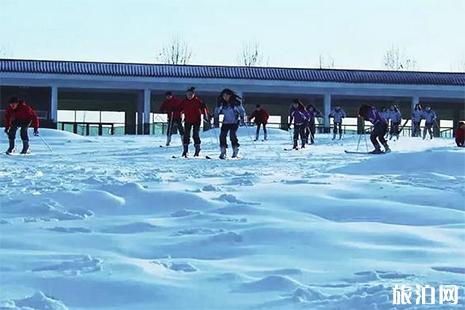 莒縣滑雪場 首滑時間+游玩攻略