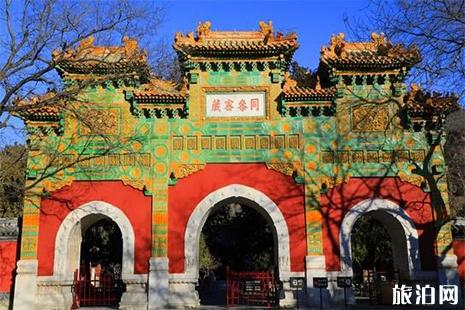 北京植物园卧佛寺腊梅观赏指南