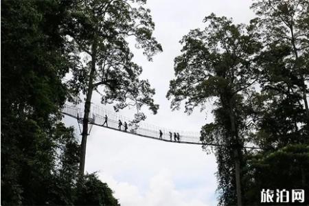 冬季西双版纳旅游攻略