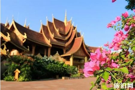 冬季西双版纳旅游攻略