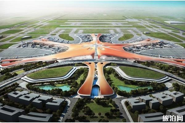 北京大兴国际机场有哪些航空公司入驻
