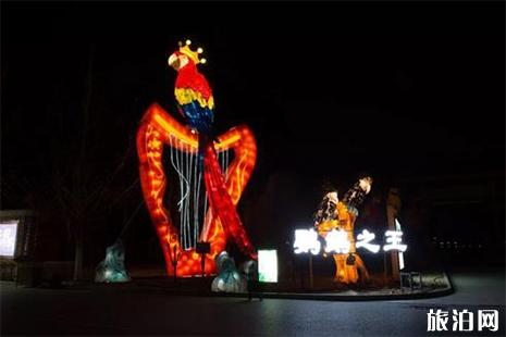 2019北京南宮燈會 門票+交通