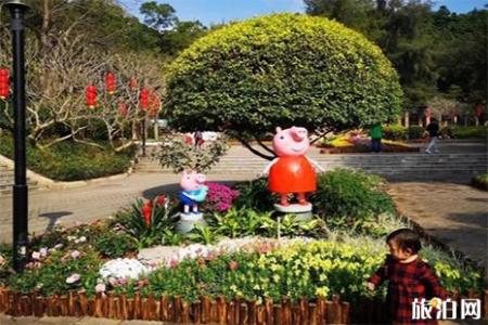 广州白云山花展12月22日至2月20日