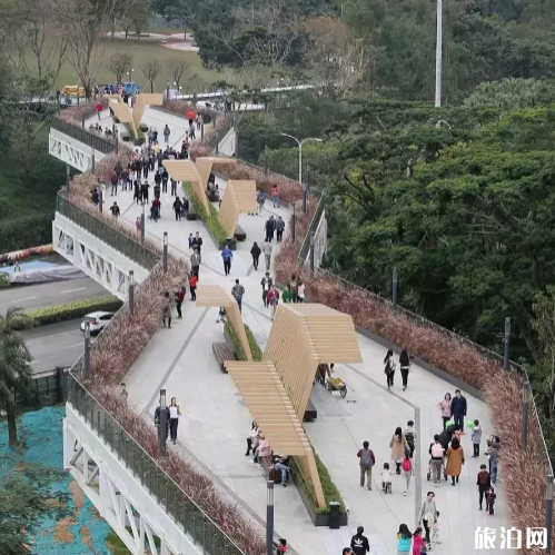 莲花山笔架山空中走廊开通了吗 2019深圳光明区迎春花市时间地点