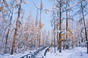 冬天看雪去哪里比较好 冬季赏雪胜地