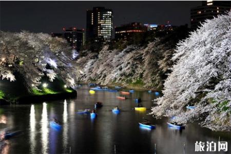 2019东京樱花什么时候开 2019东京赏樱地推荐
