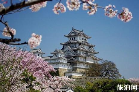2022年大阪樱花季时间 大阪赏樱花地点推荐