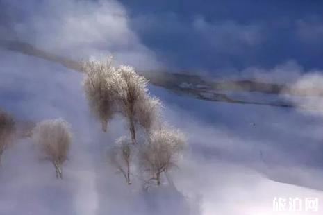 新疆哪里的雾凇最美