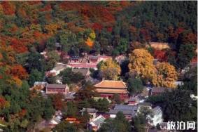 2021门头沟冬季旅游攻略