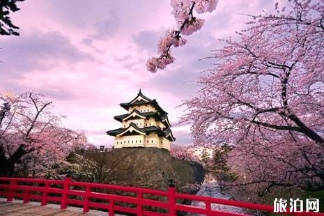 日本樱花哪里最好看 2019日本樱花开放时间表+赏樱推荐地