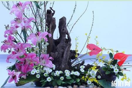 19第二十五届广州园林博览会2月2日至2月19日 旅泊网