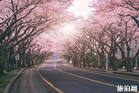 三月去日本旅游好吗 三月日本机票价格