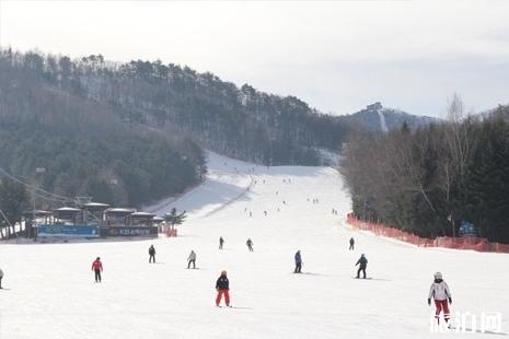 韩国滑雪攻略 2019华川山鳟鱼冰雪节时间+地点