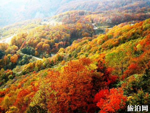 2019春節香山寺景區開放嗎 香山寺景區關閉時間+門票價格+交通