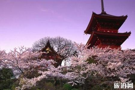 2019日本樱花节京都大阪线人多吗 京阪线赏樱攻略