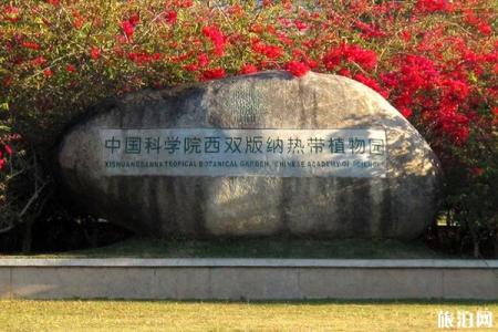 西双版纳自驾游路线推荐 西双版纳自驾游经典路线