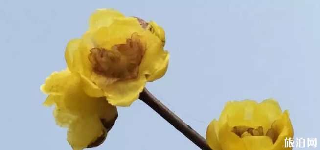 西安春节去哪儿玩 2019西安春节游玩攻略