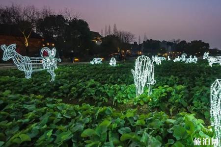 2019年春节乌镇有什么活动和节日